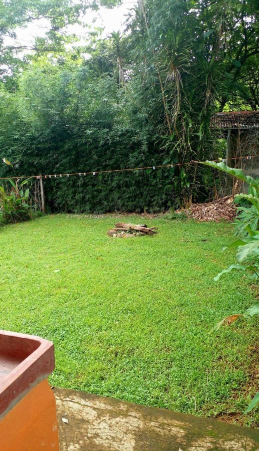 Casita El Sonido De Aves *